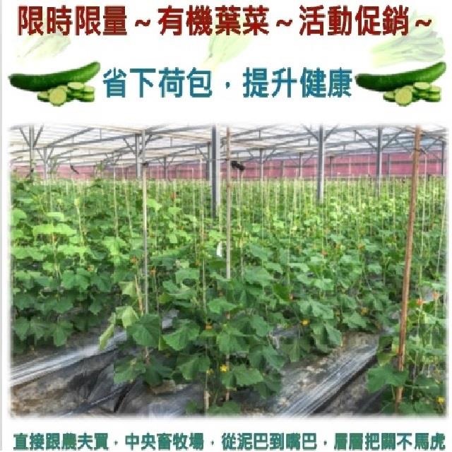 限時特惠5/25 end ~溫室有機小黃瓜一箱,家香豬,中央畜產